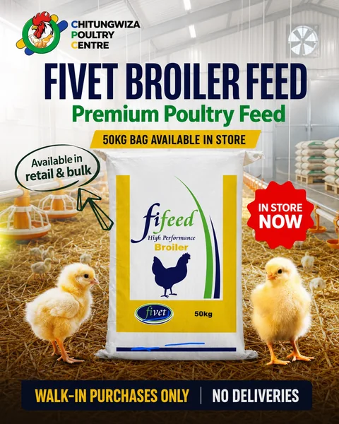 Chitungwiza Poultry Centre campaign design