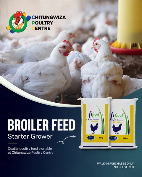 Broiler feed campaign for Chitungwiza Poultry Centre
