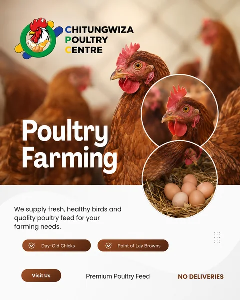 Chitungwiza Poultry Centre product campaign